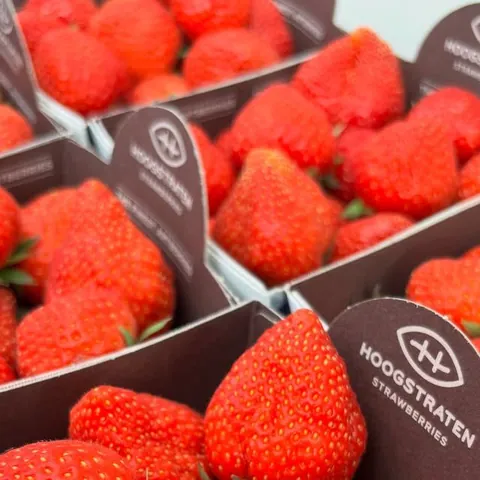 Punnets of fresh strawberries at Parade Fruiterers, West Ealing